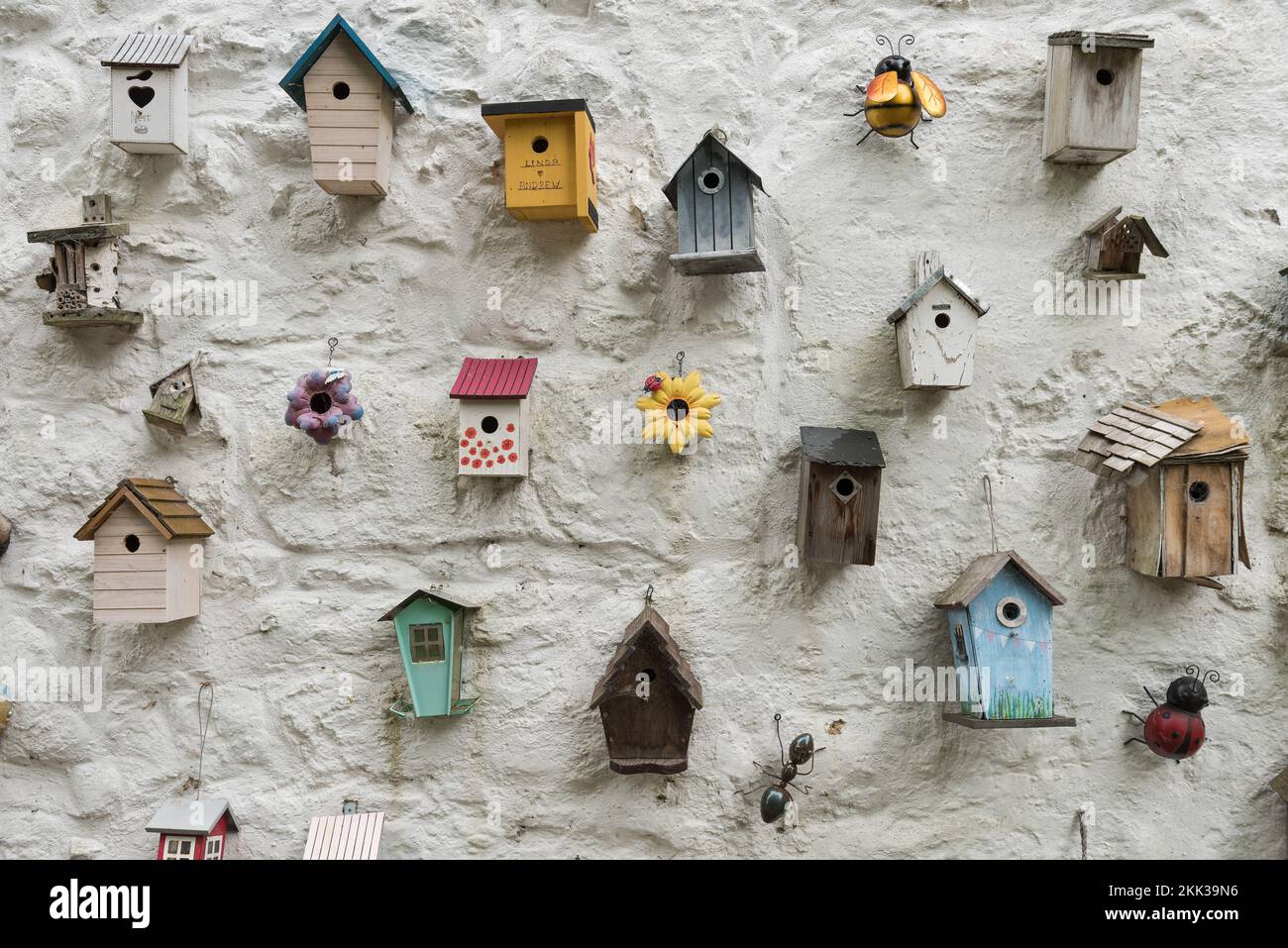 Umzug oder Haus eine große Auswahl an verschiedenen Arten von Vogelkästen für kleine Vögel an weiß getünchten Wänden bietet eine gute Wahl für Hausbesitzer Stockfoto