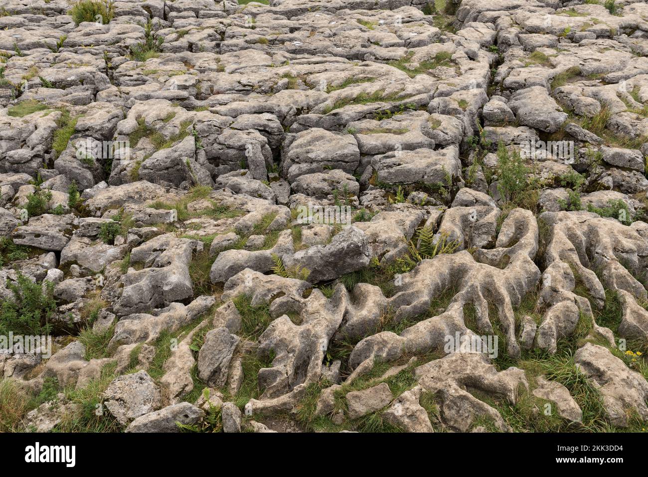 Malham Cove, ein Fehler in der Mitte Craven, Kalksteinpflaster oben auf der Bucht mit Blick nach Süden über das Malham Village Valley Stockfoto