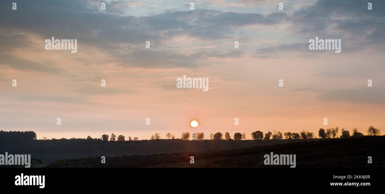 Sonne über Cherry Tree Slade am frühen Morgen im Spätsommer Frühherbst auf Cannock Chase Gebiet von außergewöhnlicher natürlicher Schönheit Staffordshire Stockfoto