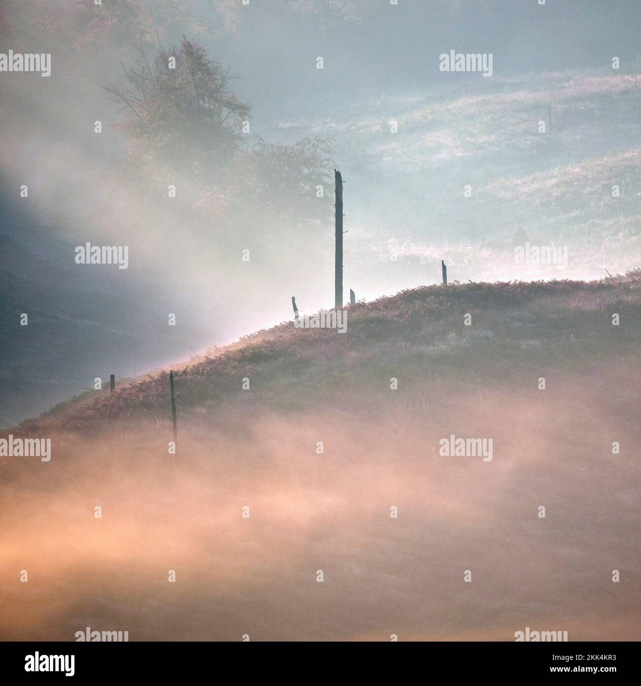 Nebel an den Hängen der sanften Hügel über dem Sherbrook Valley im Herbst im Cannock Chase Gebiet von Outstanding Natural Beauty Staffordshire Stockfoto