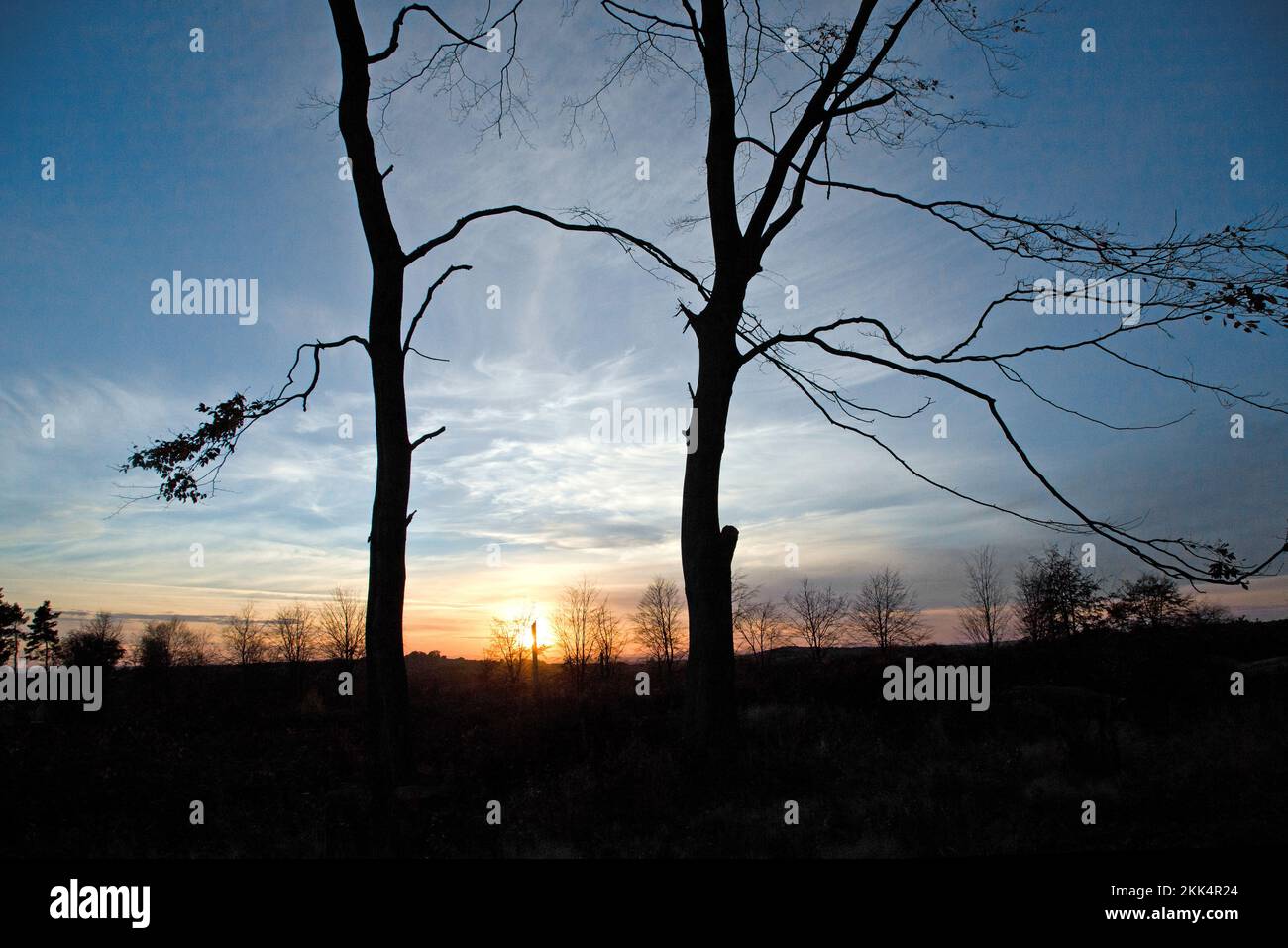 Erstellen atemberaubende Sonnenuntergang Baum Silhouetten am Rande der Wälder auf Cannock Chase AONB Area of Outstanding Natural Beauty im Herbst Staffordshire Stockfoto