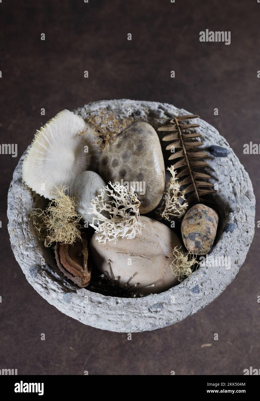 Eine Hypertufa-Schüssel mit Objekten aus der Natur. Stockfoto