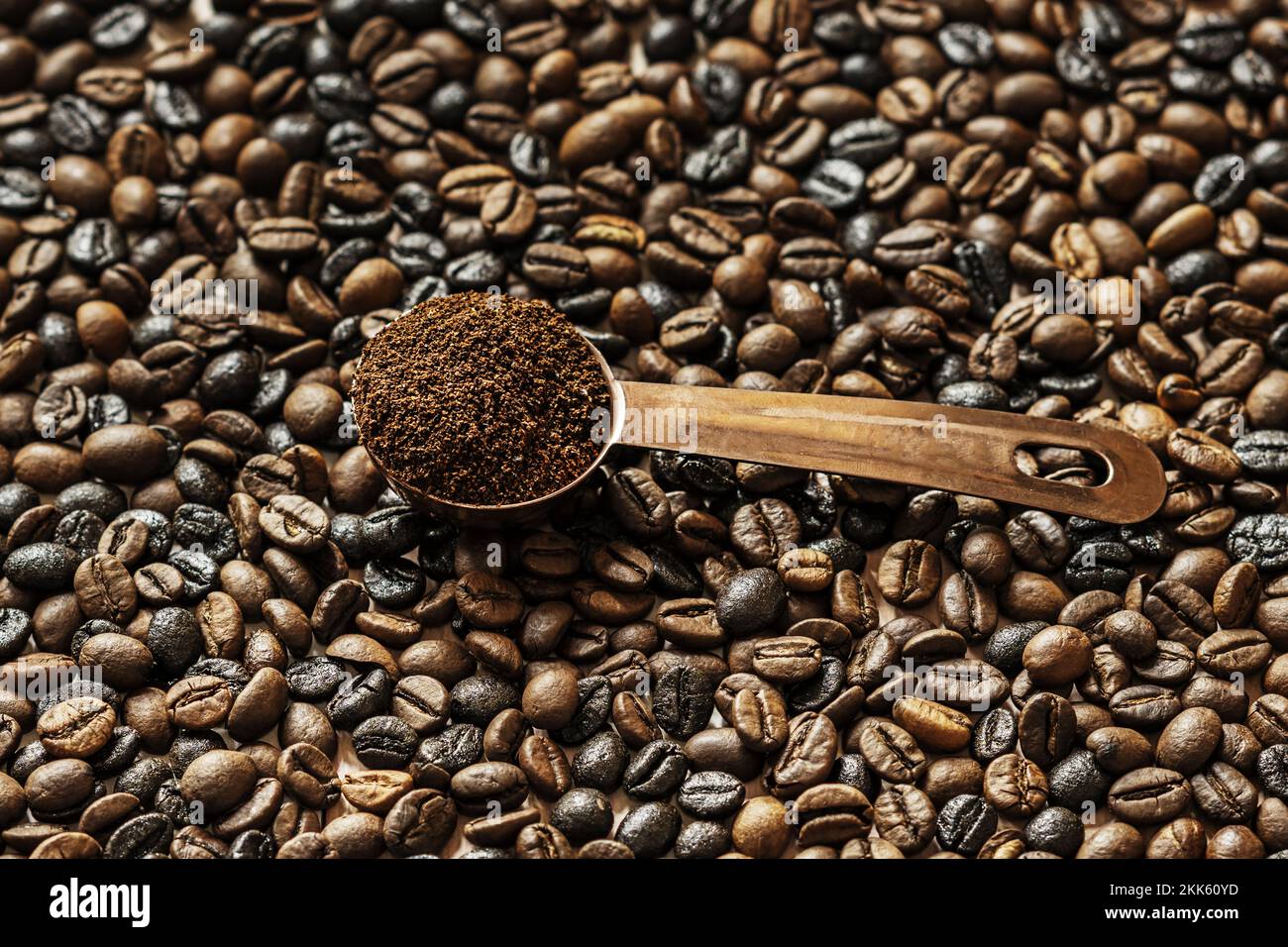 Der Kaffeebaum ist heimisch in der Provinz Kaffa im Hochland von Abessinien, dem heutigen Äthiopien, wo er wild wächst Stockfoto