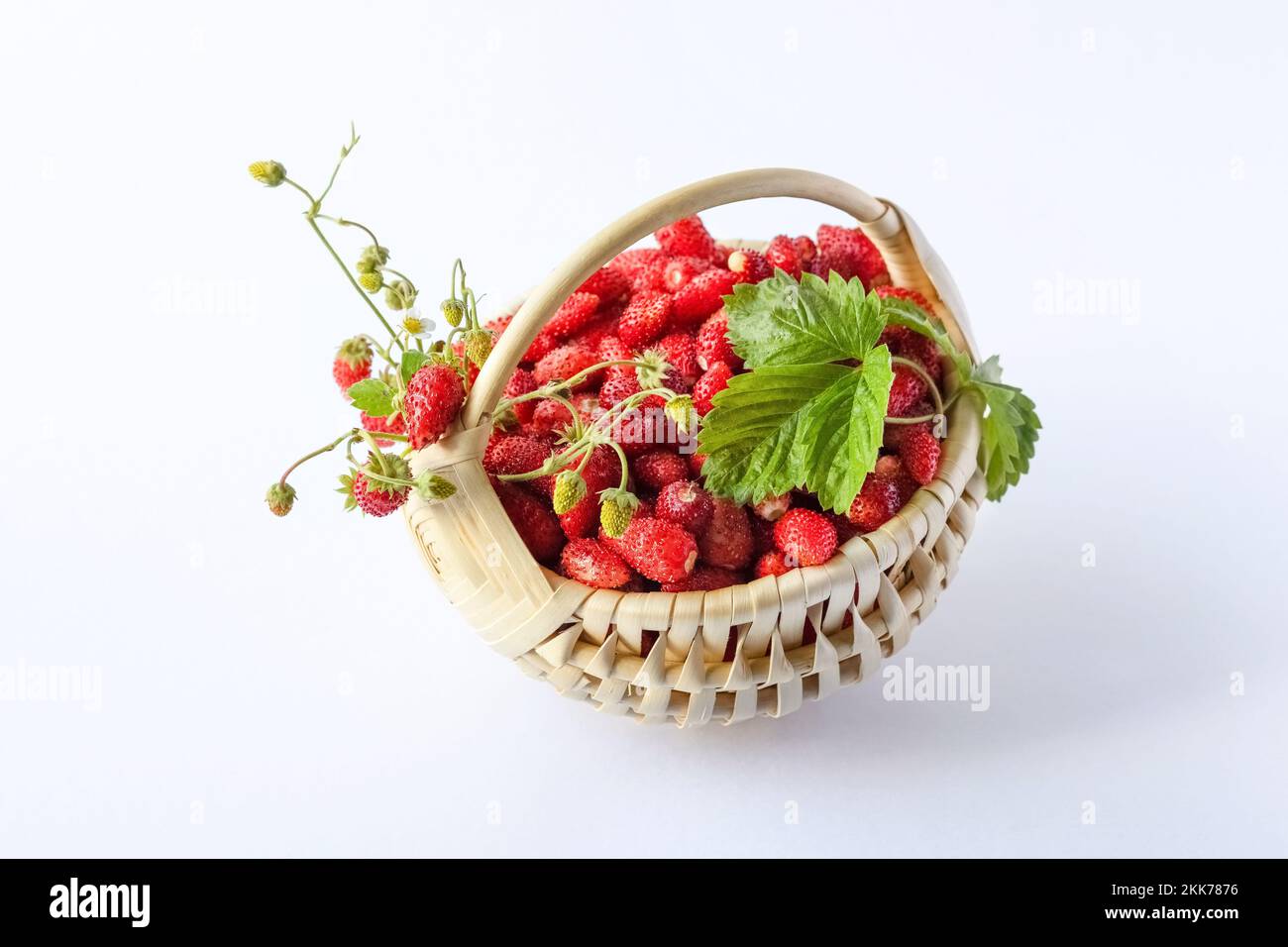 Wilde Erdbeeren in einem beigen Korb auf blauem Hintergrund mit grünen Blättern, gesundes und köstliches Essen Stockfoto