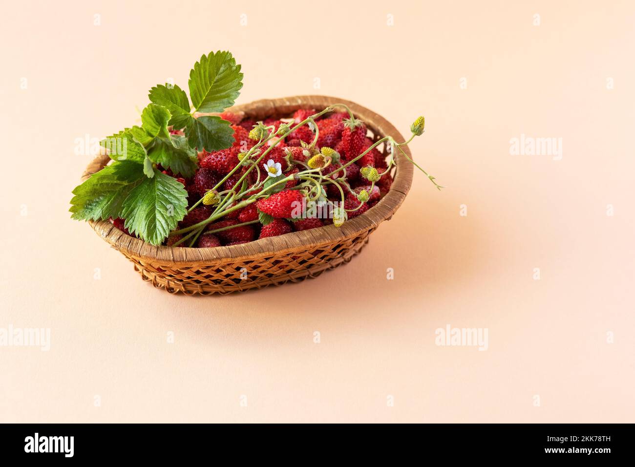 Wilde Erdbeeren in einem beigen Korb auf orangefarbenem Hintergrund mit grünen Blättern, gesundes und leckeres Essen Stockfoto