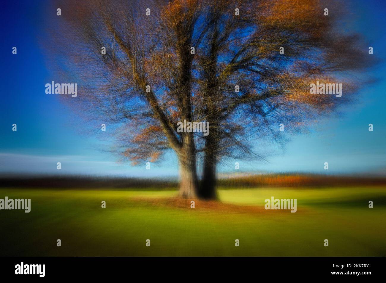 FOTOKUNST: Herbstlicht Stockfoto