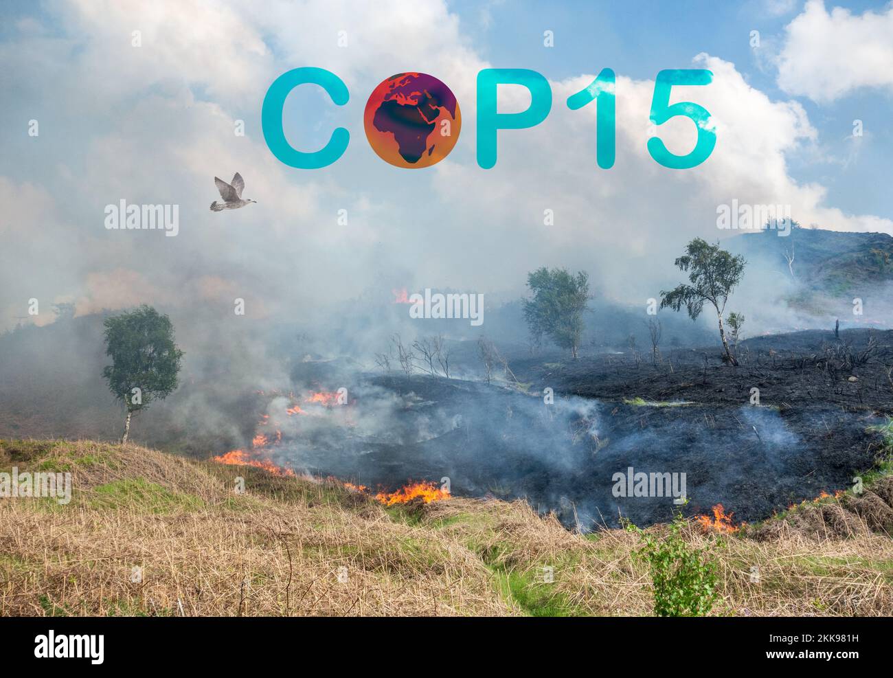 COP15-Konzept. Artenvielfalt, Wildtiere, gefährdete Lebensräume... Stockfoto