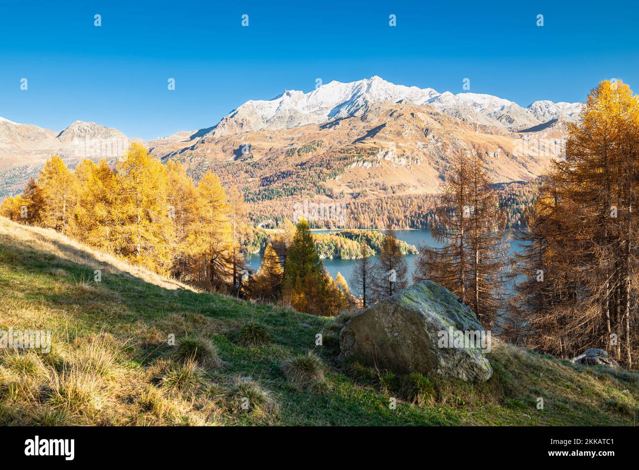 Majestätische Aussicht auf die schneebedeckten Berge und den See Sils in der Schweiz zwischen den goldenen Lärchen an einem sonnigen Herbsttag Stockfoto