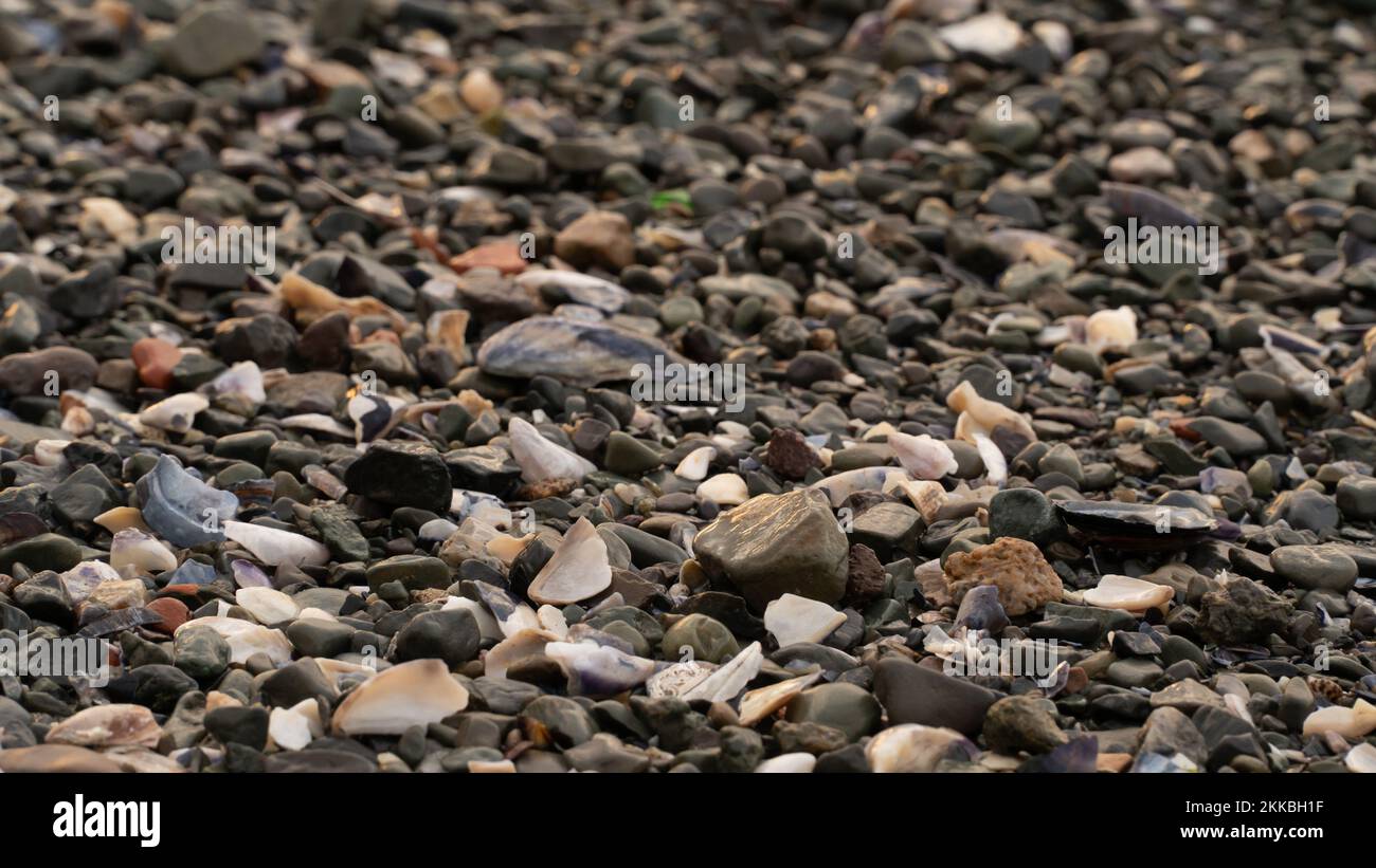 Kieselsteine am Strand und am Meer. Konzeptidee des Buchumschlags. Strandfoto. Mit selektivem Fokus. Stockfoto