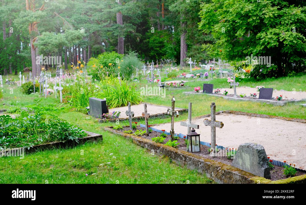 Alter Friedhof im Wald mit vielen Kreuzen. Estland Stockfoto