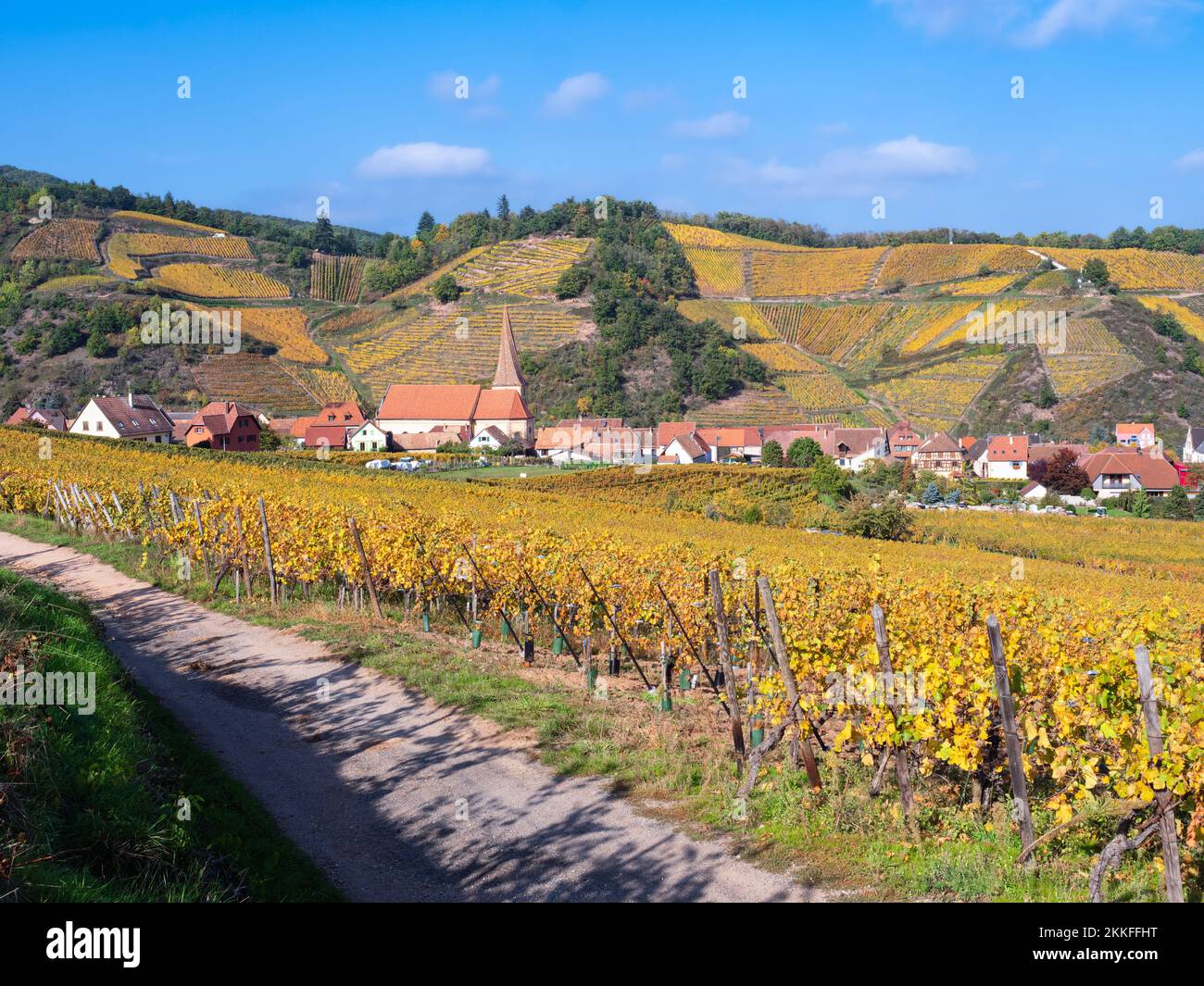 Im Tal der Weinberge gelegen, ist das Dorf Niedermorschwihr in Frankreich typisch für die elsässische Weinstraße. Stockfoto