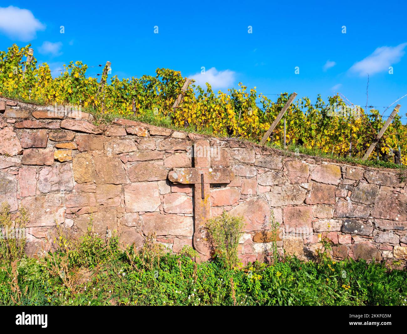 Überqueren Sie die Steinmauer in den Weinbergen von Turckheim - Weinstraße des Elsass, Frankreich. Stockfoto