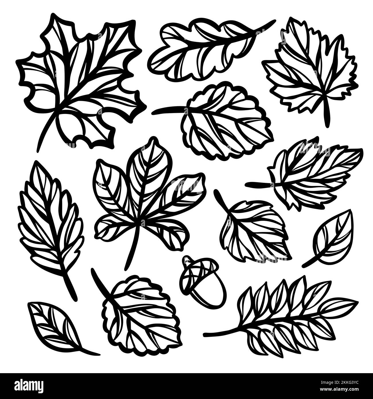 LÄSST DEN HERBST monochrome Kollektion von offenen Konturen Silhouetten von Blättern von Herbstpflanzen Skizzenvektor-Illustration Set für Scrapbooking an Stock Vektor