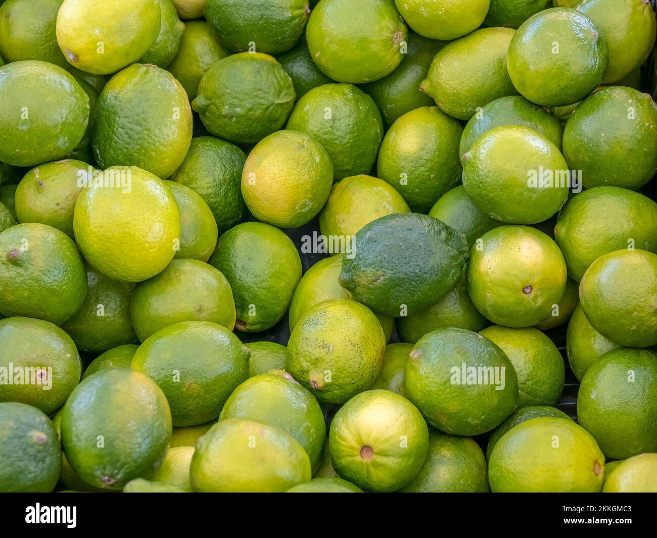 Grüne Limetten füllen den Rahmen Stockfoto
