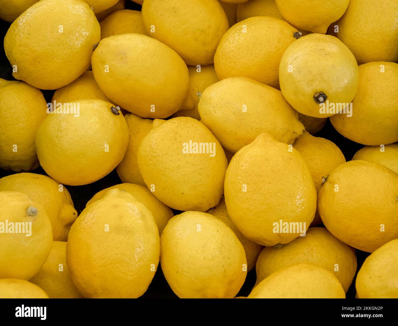 Gelbe Zitronen füllen den Rahmen Stockfoto