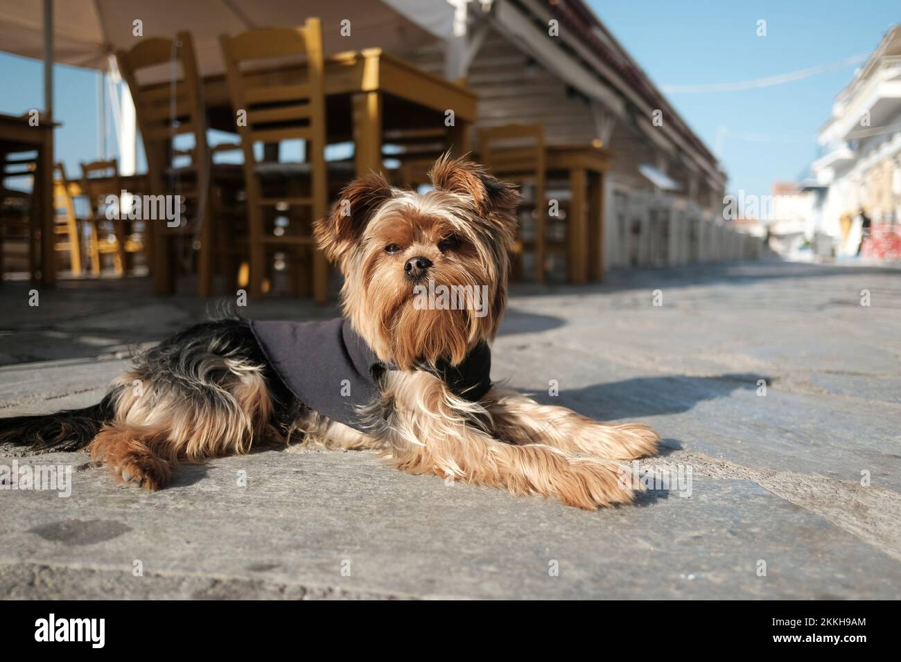 Der kleine Hafen von Perdika in Aegina, Griechenland. Ein gemeinsamer Zwischenstopp über dem Hafen bei Segelurlauben im Saronischen Golf. Stockfoto