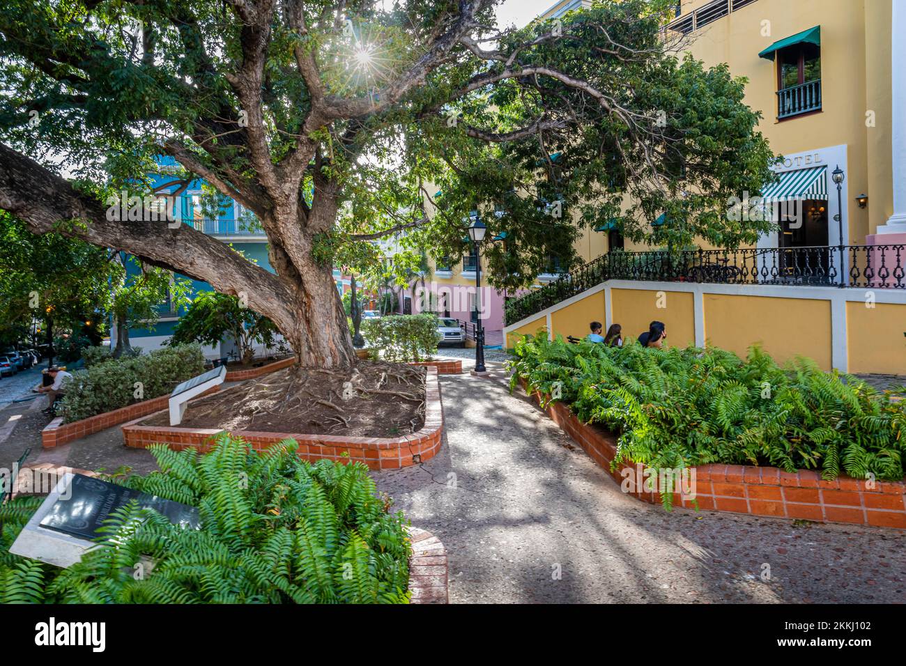 Auf der tropischen Karibikinsel Puerto Rico, USA, liegt ein kleiner platz in Old San Juan, an dem die Sonne durch einen Baum strahlt. Stockfoto