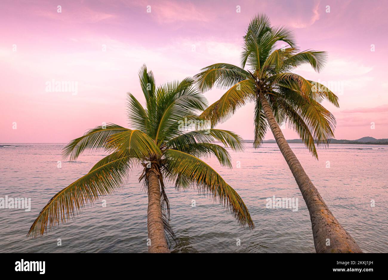 Palmen in der Abenddämmerung am Playa Bandera in Luquillo auf der tropischen karibischen Insel Puerto Rico, USA. Stockfoto