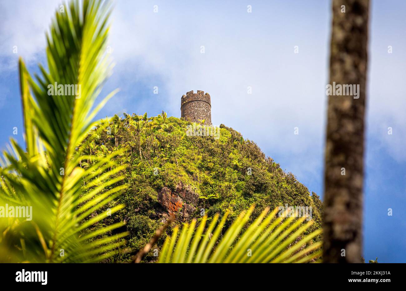 Das Mt. Britton Tower im El Yunque Rainforest National Park auf der tropischen karibischen Insel Puerto Rico, USA. Stockfoto