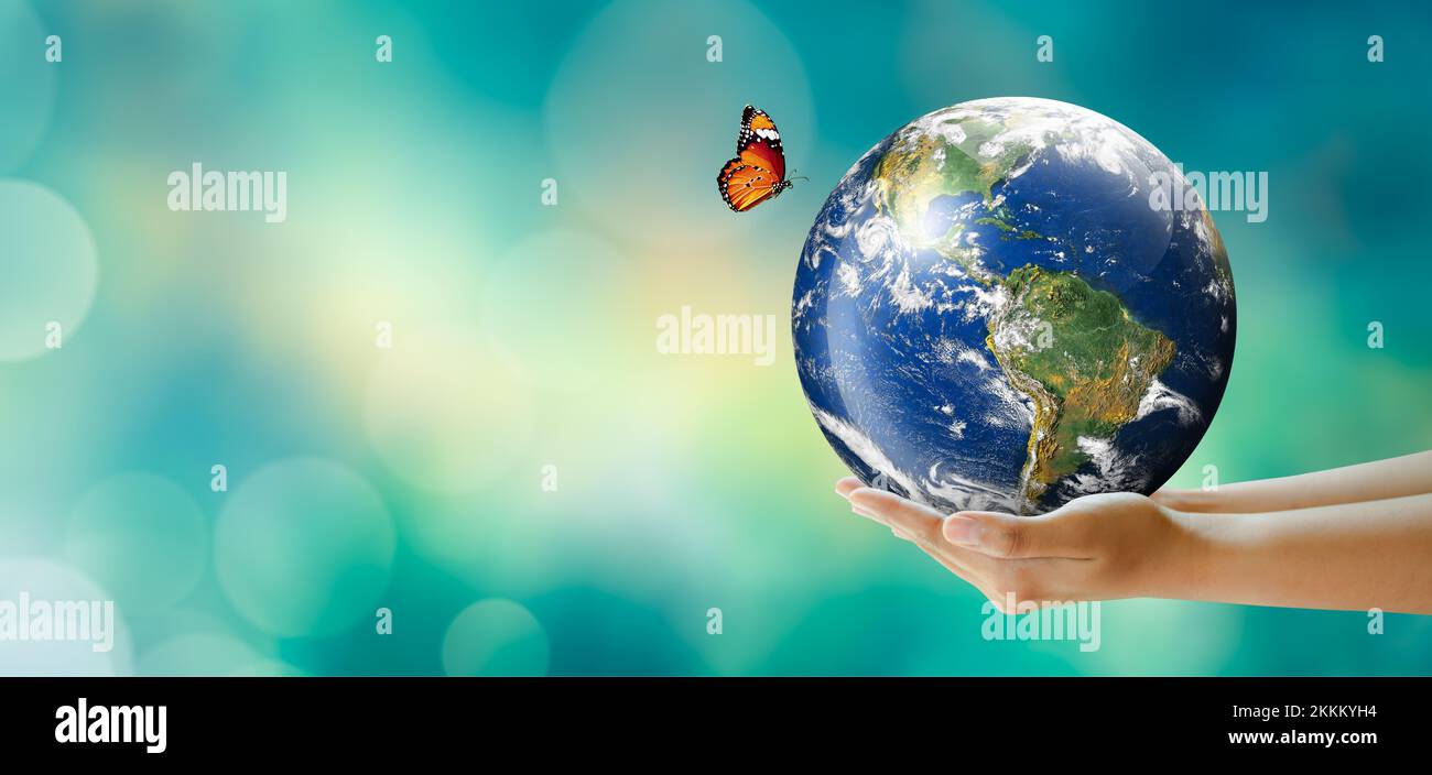 Hand halten Baum auf der Welt mit sonnigen grünen Gras Bokeh Hintergrund. Rette sauberen Planeten, rette Welt und Umwelt, Ökologie, Welttag der Erde. Stockfoto