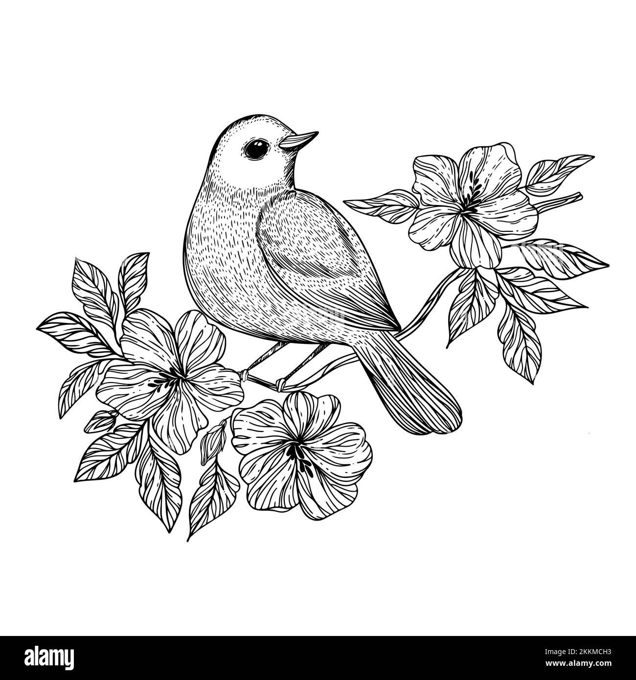 NIGHTINGALE Songbird sitzt auf Einem Zweig mit blühenden Blüten Monochrom Handgezeichnete Skizze in chinesischem Cartoon Clip Art Vector Illustration für PRI Stock Vektor