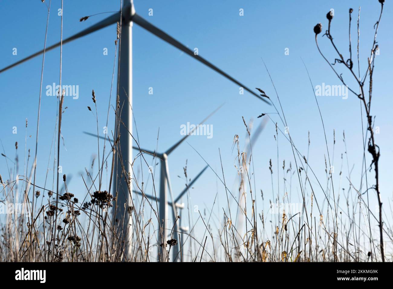 Windkraftanlagen Stockfoto