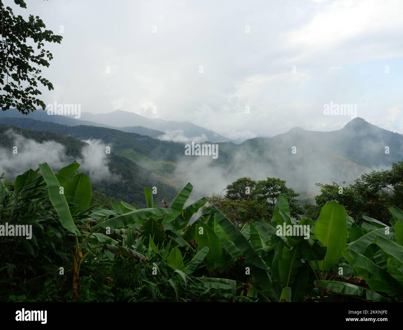 Wolken und Nebel bedecken Kalksteinberge, Dunst im Tal mit grünen Wäldern und Felsen im PUA District, Provinz Nan, Thailand Stockfoto