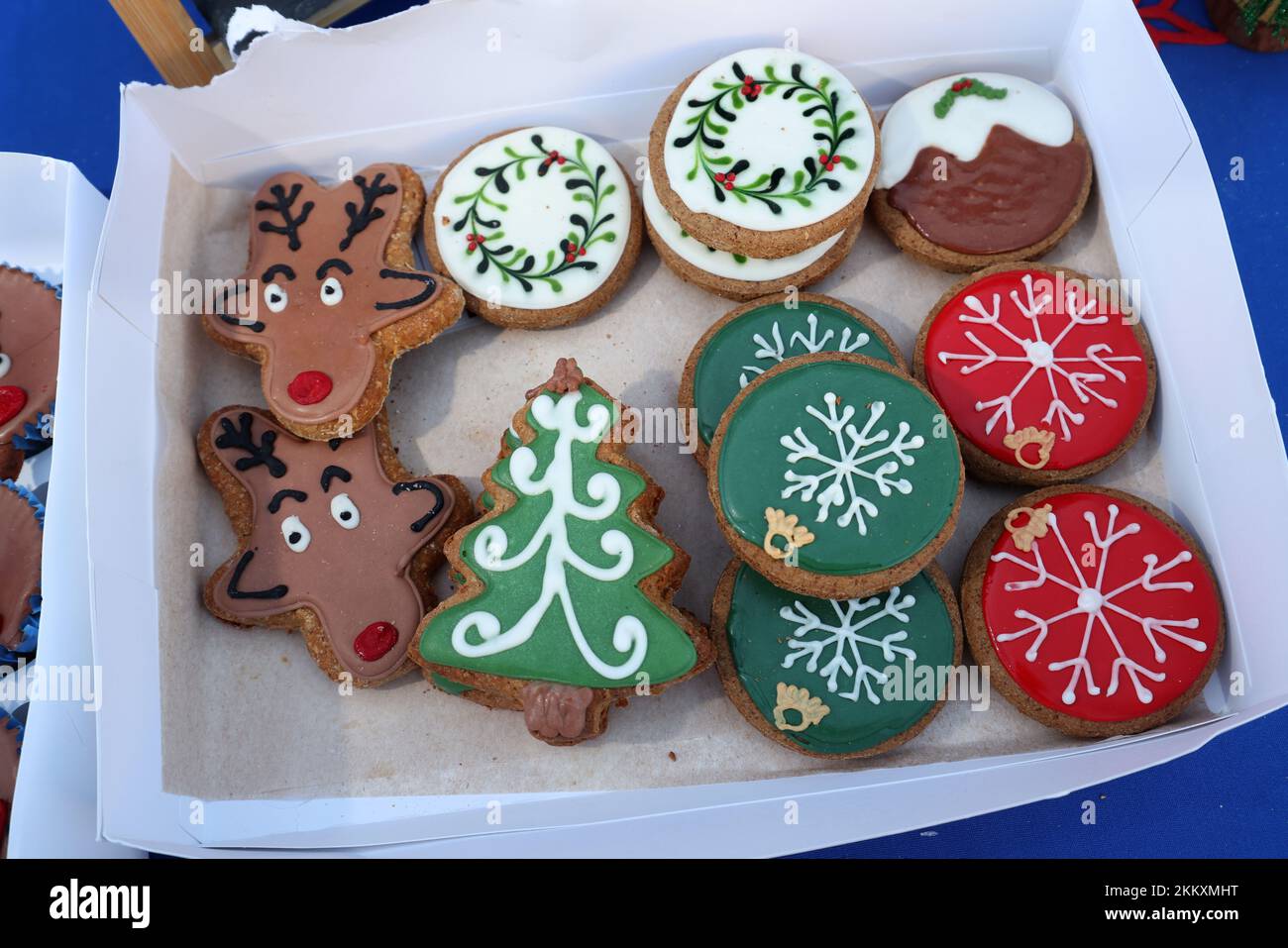 Besondere Weihnachtsgeschenke für Hunde auf einem Marktstand in Lee-on-Solent, Hampshire, Großbritannien. Stockfoto