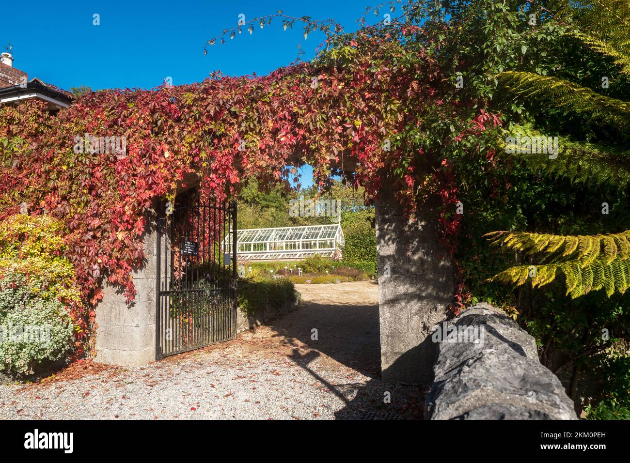 Der botanische Garten von Ardgillan Demesne an sonnigen Tagen im Herbst in Südirland Stockfoto