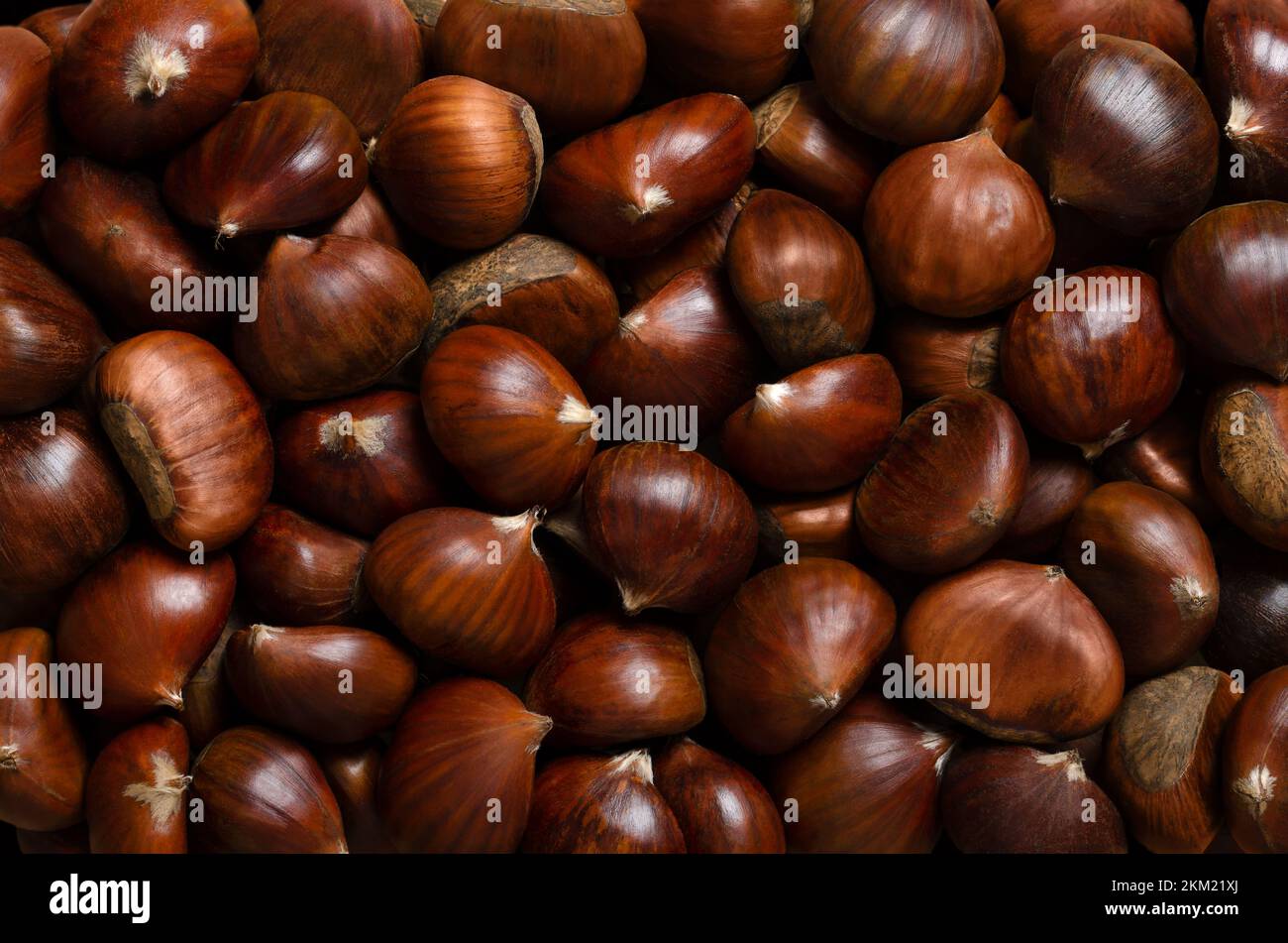 Kastanien, Hintergrund von oben. Nüsse der süßen Kastanie, Castanea sativa. Kann roh, kandiert, gekocht oder zu Mehl gemahlen oder als Snack geröstet werden. Stockfoto