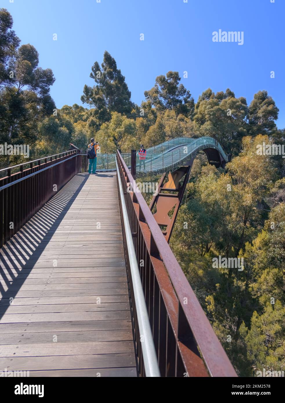 Perth, WA, Australien - Treetop Walkway in Kings Park von Donaldson + warn Stockfoto