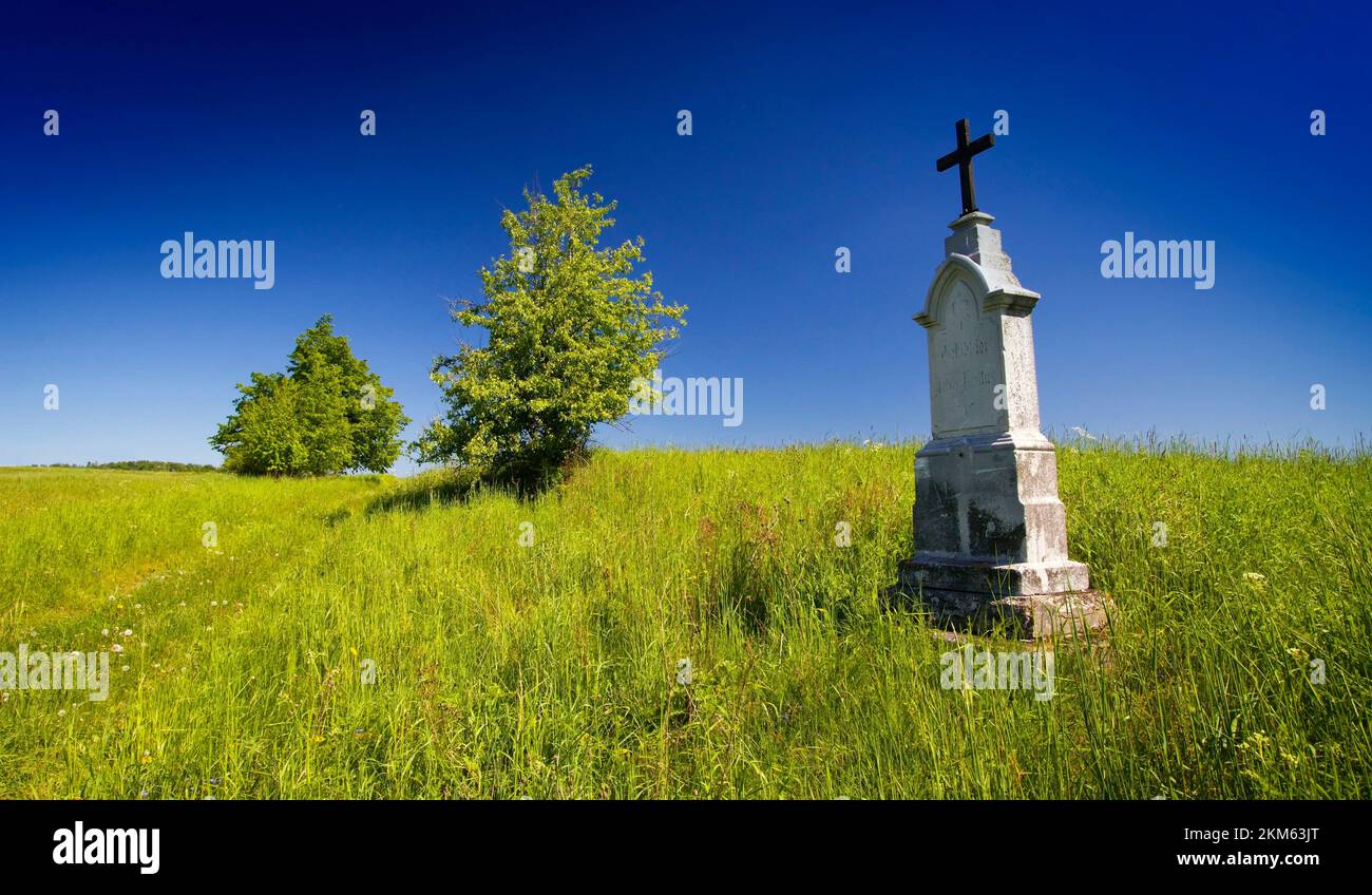 Gottes Qualen auf einer Frühlingswiese in den Ausläufern von Jesenik in Mähren in der Tschechischen Republik. Stockfoto