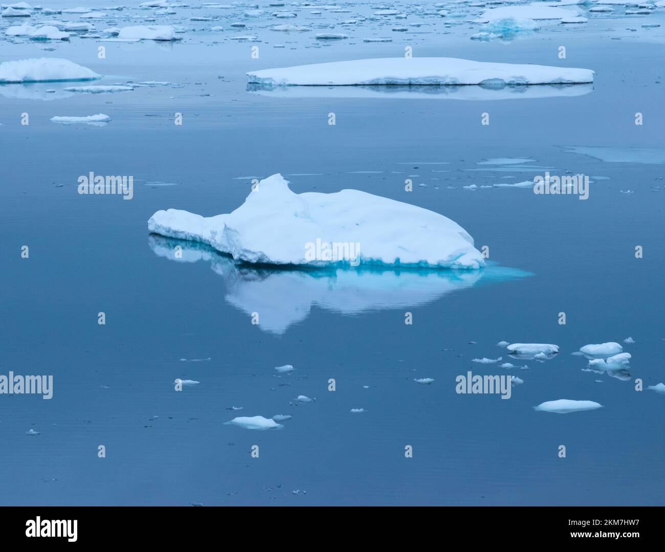 Die Eisfeild und Eisberge, die im Antarktischen Ozean fließen. Mit Schichten aus Eis und Schnee, die die Eisberge bilden. Stockfoto