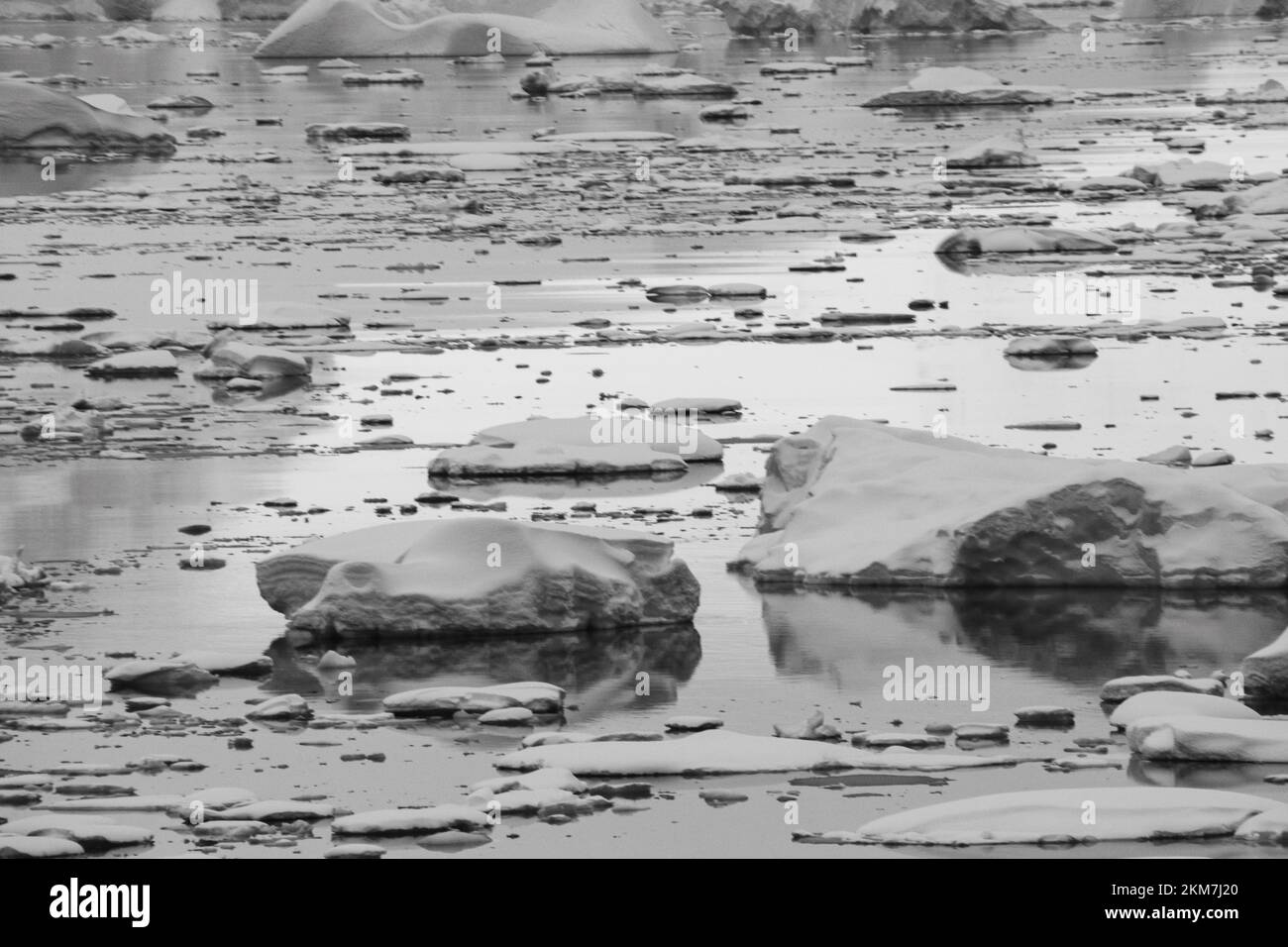 Die Eisfeild und Eisberge, die im Antarktischen Ozean fließen. Mit Schichten aus Eis und Schnee, die die Eisberge bilden. Stockfoto