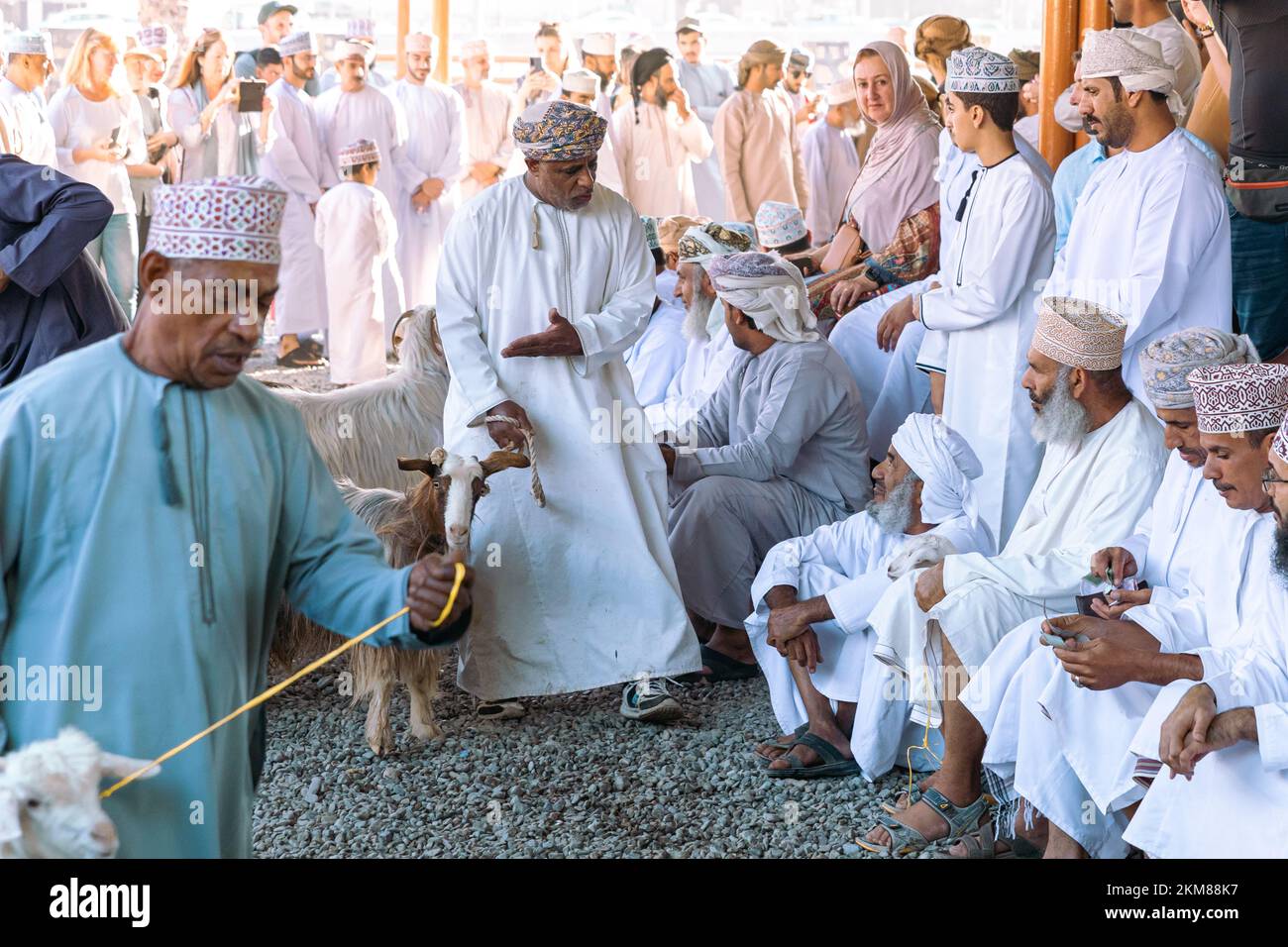 NIZWA, OMAN - 18. NOVEMBER 2022: Nizwa-Ziegenmarkt. Traditioneller Tierbasar in Nizwa, Oman. Stockfoto