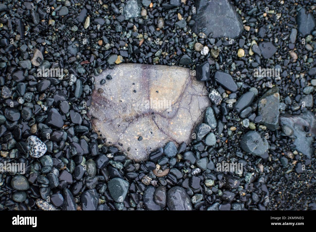 Nahaufnahme eines bunten Felsens zwischen dunklen Felsen an einem Strand in der Antarktis. Stockfoto