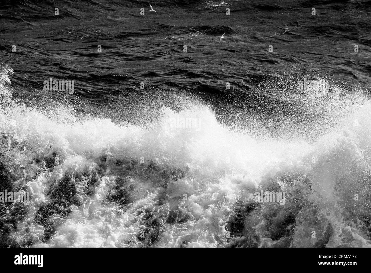 Das Boot weckt Wellen in der Drake Passage, wodurch Sprühnebel aus dem Wasser austritt. Stockfoto