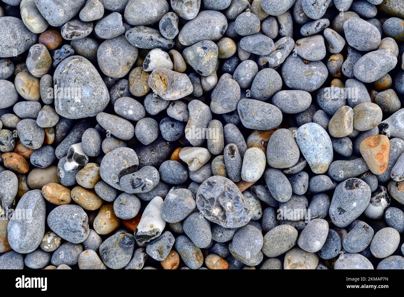 Graue Kieselsteine am Strand als Hintergrund oder Designelement Stockfoto