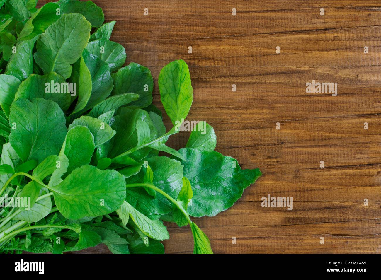 Junge Rettichblätter auf Holzhintergrund. Nützliche Blätter für Salat. Grünzeug zum Kochen. Großartiges Essen. Speicherplatz kopieren Stockfoto