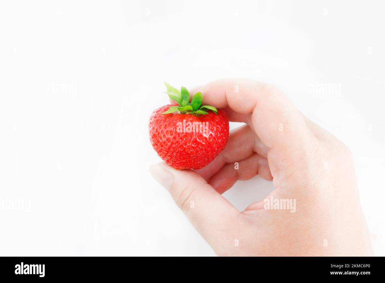 Reife rote Erdbeeren mit Blättern in einer weiblichen Hand auf weißem Hintergrund. Sommerbeeren. Nützliches leichtes Essen. Speicherplatz kopieren Stockfoto