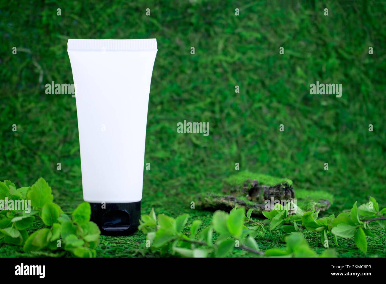 Weiße unbeschriftete kosmetische Flasche, auf einem grünen natürlichen Hintergrund, Gras, Moos mit Ästen von Grün. Umweltfreundliches Kosmetikprodukt. Natürlicher Kosmos Stockfoto