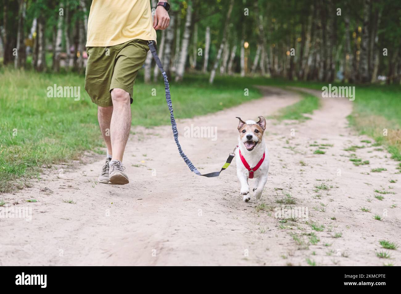 Ein Mann, der mit einem Hund an der Hüftleine entlang der Landstraße joggt Stockfoto