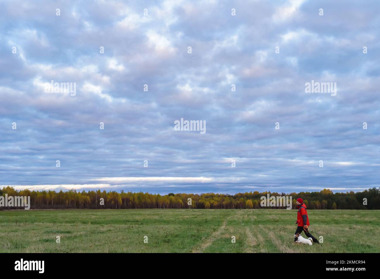 Ein Mann in rotem Mantel, der mit einem Hund auf dem Feld spazieren geht, am Herbsttag. Seitenansicht des Besitzers und Hundes mit Kopierbereich Stockfoto