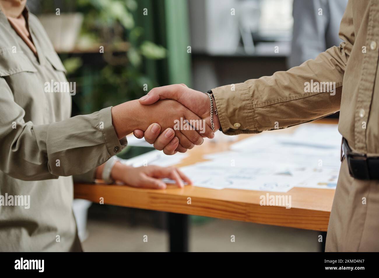 Händedruck von zwei jungen multikulturellen Mitarbeitern in Freizeitkleidung, die im Büro vor der Kamera stehen und sich gegenseitig begrüßen Stockfoto