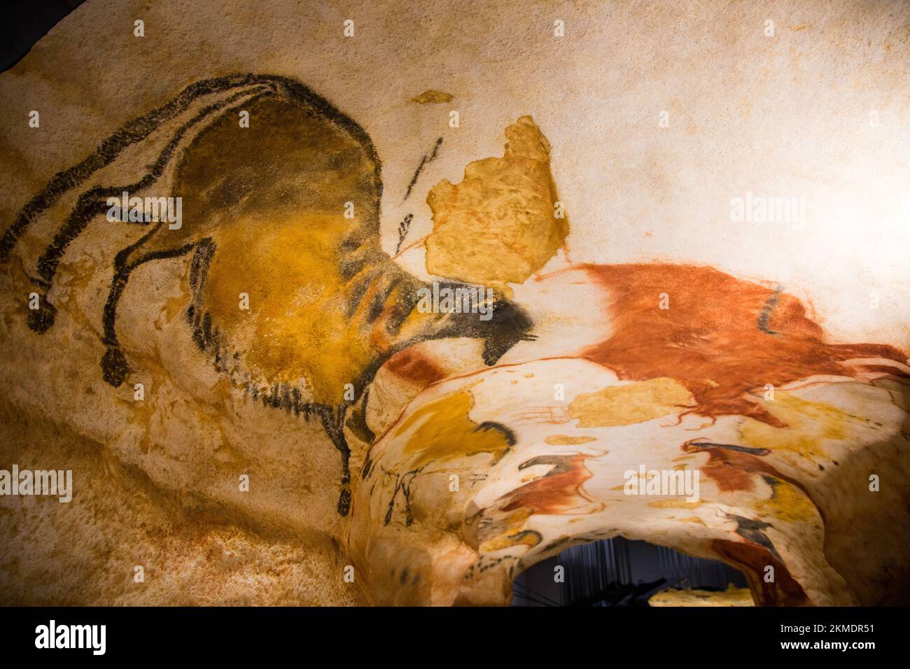 FRANKREICH, DORDOGNE (24) PERIGORD NOIR, Lascaux IV Center International d'Art parietal ist die vollständige und unveröffentlichte Nachbildung der Höhle und 6 Ausstellungen Stockfoto