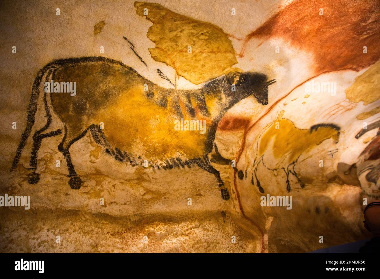 FRANKREICH, DORDOGNE, PERIGORD NOIR, Lascaux IV Center International d'Art parietal ist die vollständige und unveröffentlichte Nachbildung der Höhle und 6 Ausstellung r Stockfoto
