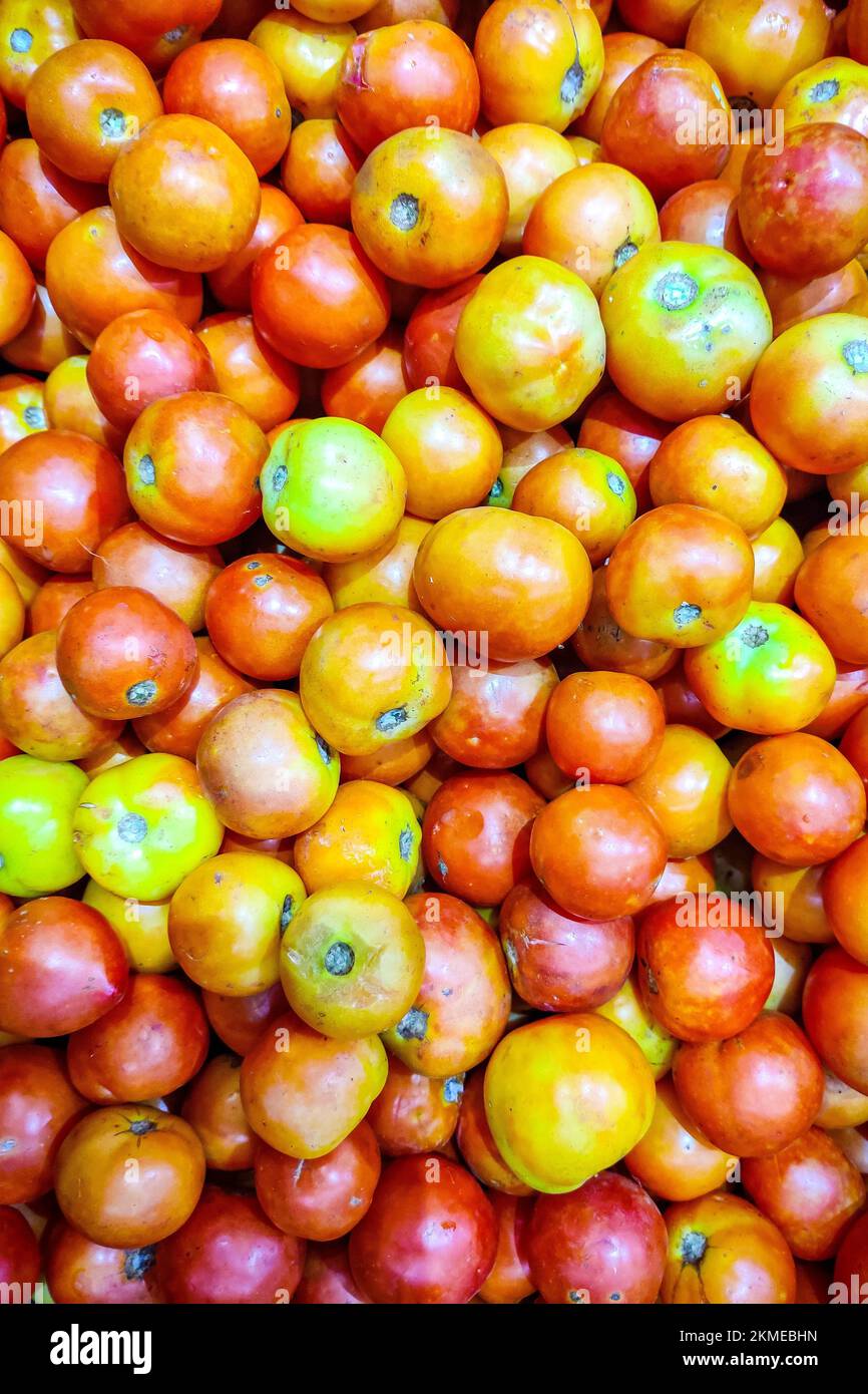 Ein vertikales Bild von unreifen, faulen und einigen schimmeligen Tomaten (Solanum Lycopersicum) Stockfoto