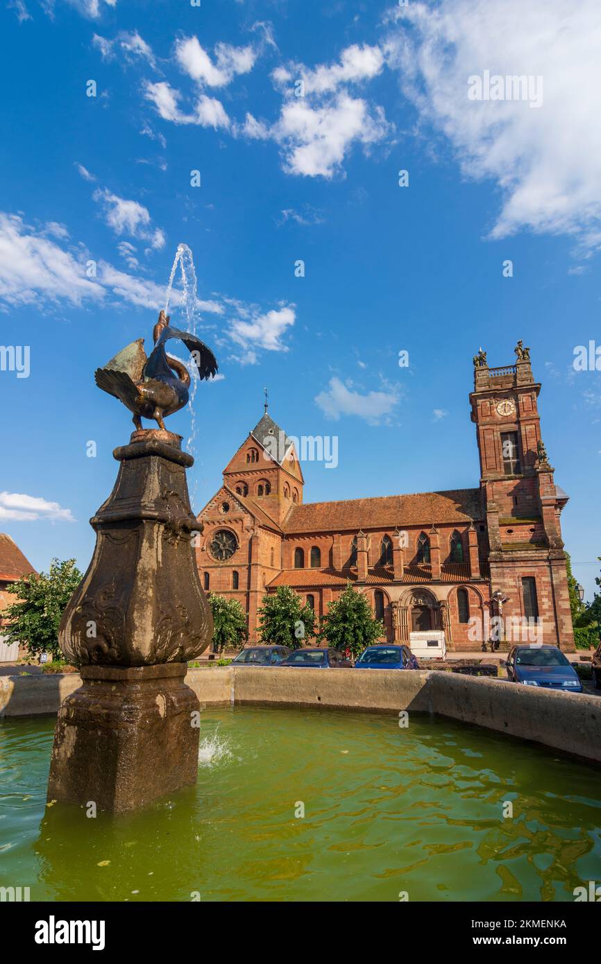 Neuwiller-les-Saverne (Neuweiler) : Kirche Ellis Saint-Pierre-et-Saint-Paul, Brunnen im Elsass, Bas-Rhin (Unterelsass), Frankreich Stockfoto