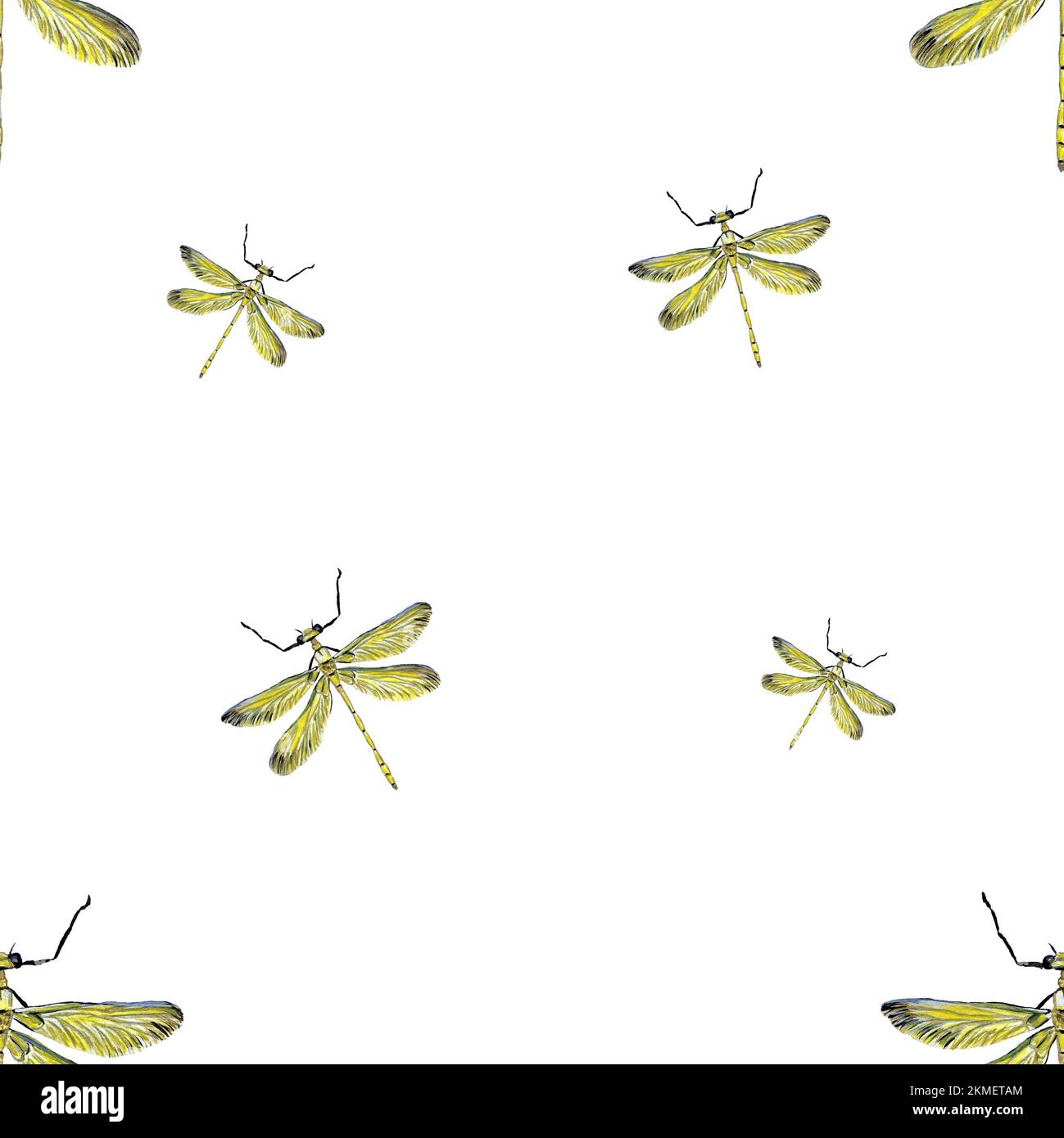Libelle mit gelbem Muster große Aquarellskizze Stockfoto