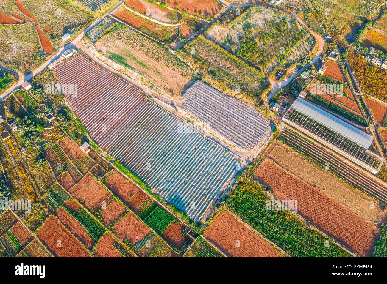 Luftaufnahme der verschiedenen Felder von Pflanzen und Gewächshäusern. Konzept des agro-industriellen Komplexes Stockfoto